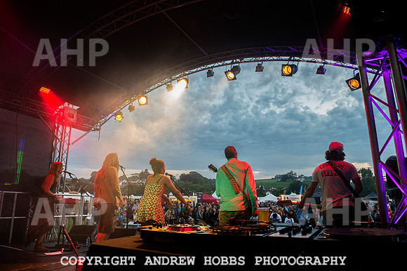 AHP_2384 copy