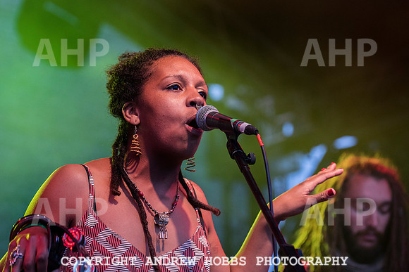 HOB_9218 copy