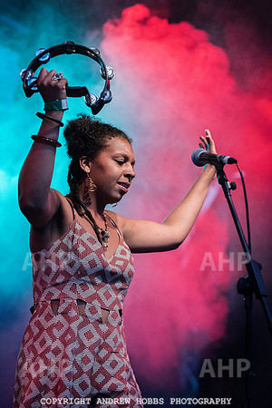 HOB_9237 copy