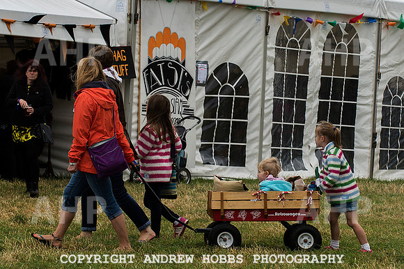 Chagstock Festival 2015 057