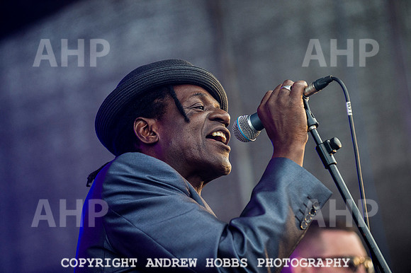 Chagstock Festival 2015 075