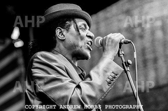 Chagstock Festival 2015 081