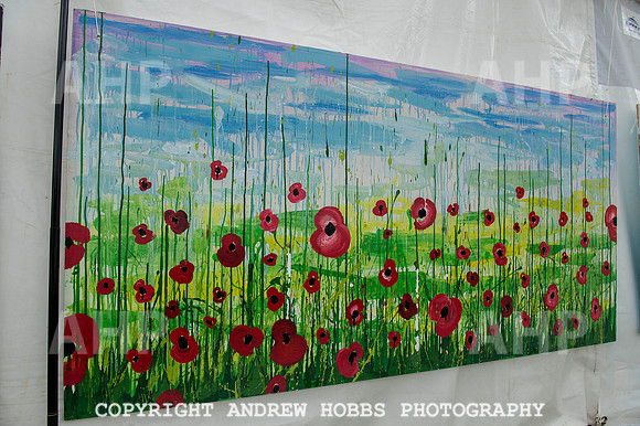 Taunton Flower Show 2014 030