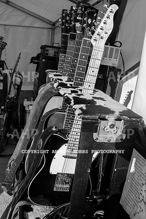 Chagstock Festival 2015 168