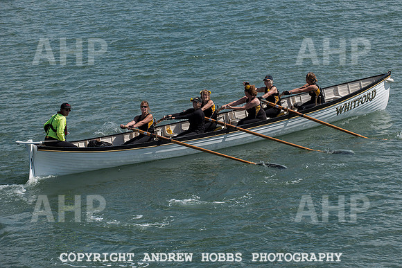 Torridge Regatta 2015 016