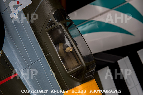 Master Modeler David Alderton 2015 050