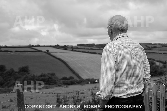 HOB_2260 copy