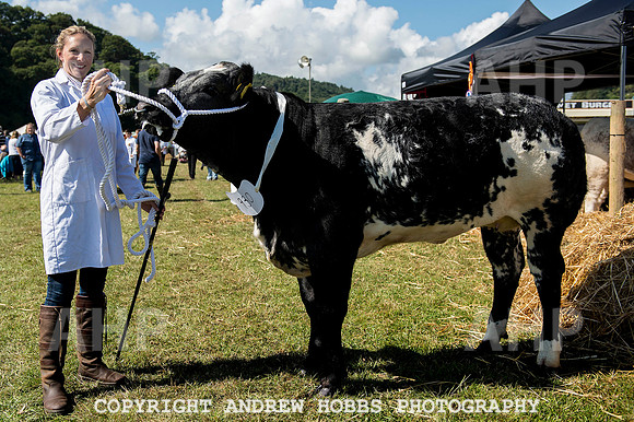 Dunster Show 2014 005