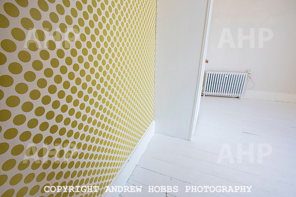 HOB_5911 copy
