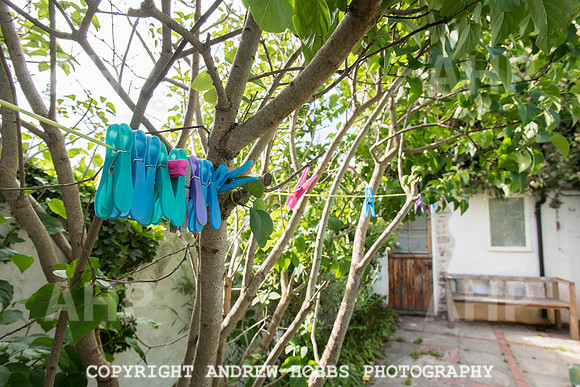 HOB_5870 copy