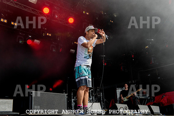 AHP_9018 copy