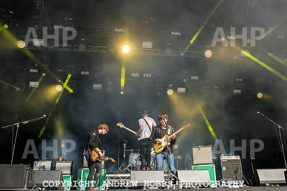 AHP_9060 copy