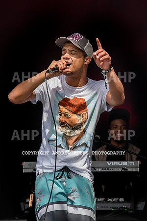 HOB_4872 copy