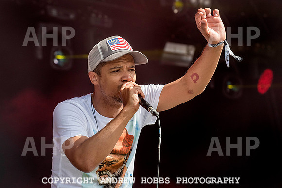 HOB_4899 copy