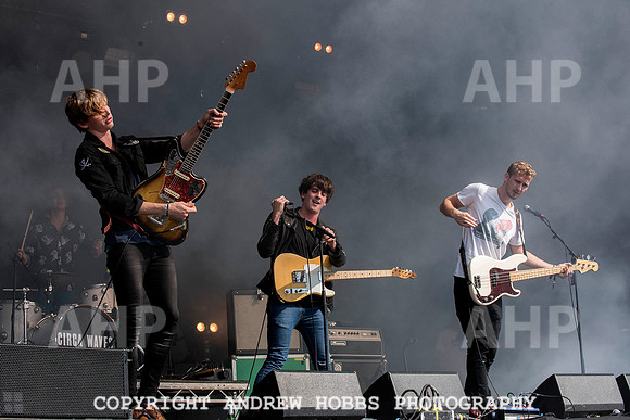 HOB_4990 copy