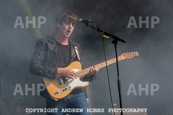 HOB_5040 copy