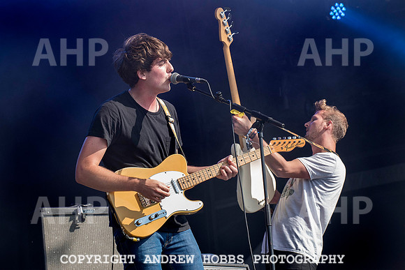 HOB_5077 copy