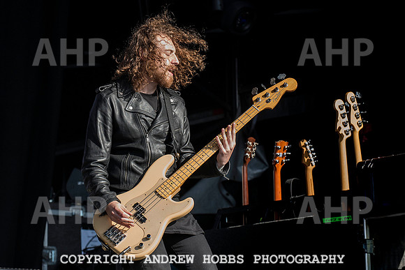 HOB_5150 copy