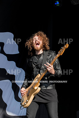 HOB_5171 copy