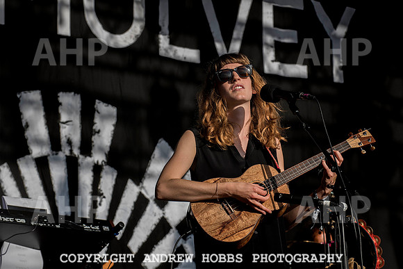 HOB_5335 copy