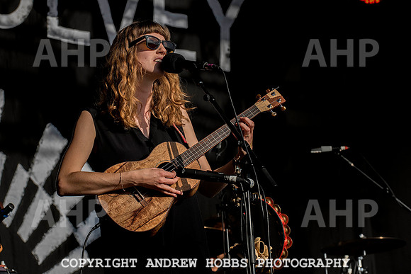 HOB_5358 copy