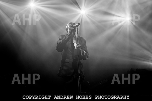 AHP_9161 copy