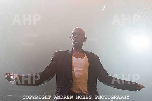 AHP_9187 copy