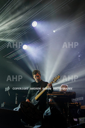 AHP_9196 copy