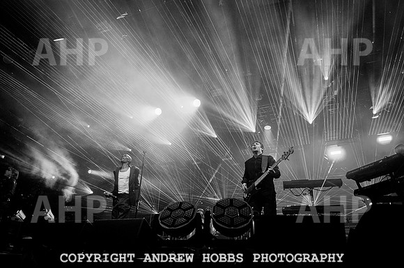 AHP_9212 copy