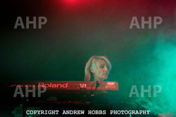 HOB_5614 copy