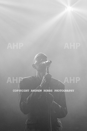 HOB_5658 copy