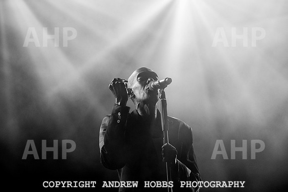 HOB_5663 copy