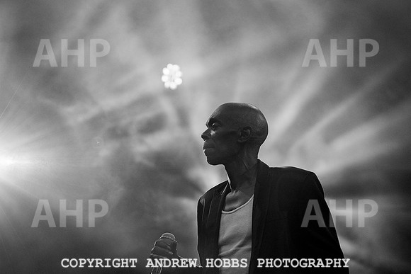 HOB_5736 copy