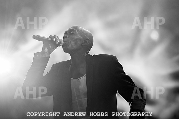 HOB_5747 copy