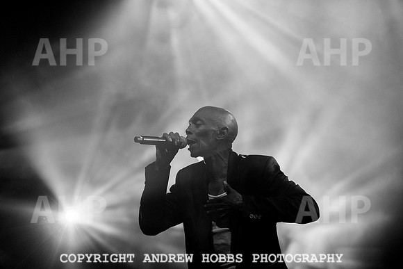 HOB_5771 copy