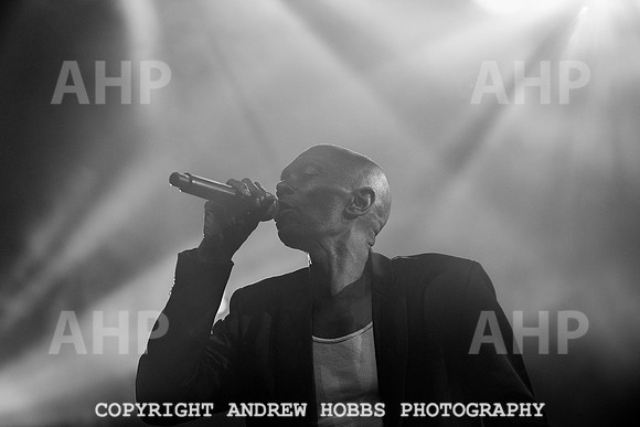 HOB_5780 copy