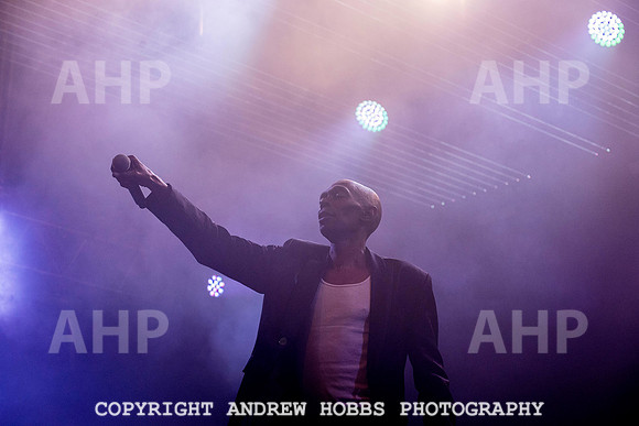 HOB_5802 copy