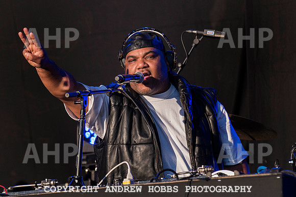 HOB_6987 copy