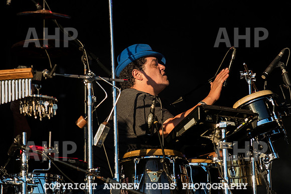 HOB_7077 copy
