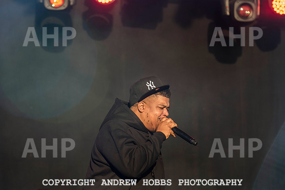 HOB_7090 copy