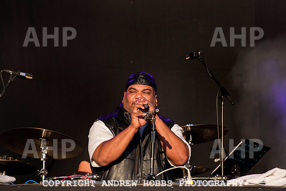 HOB_7135 copy