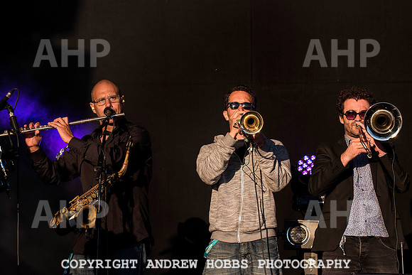 HOB_7145 copy
