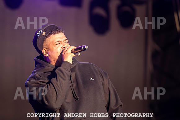 HOB_7178 copy