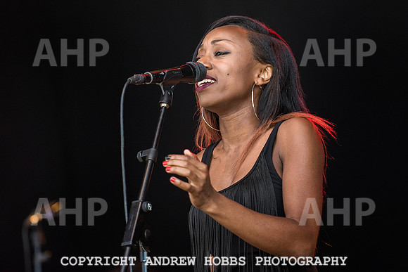HOB_5985 copy