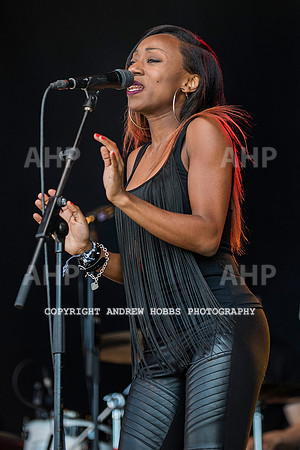 HOB_5994 copy