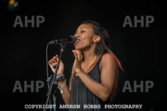 HOB_6050 copy