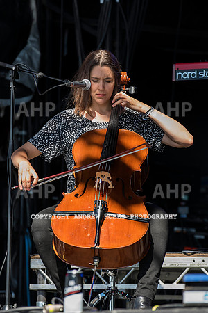 HOB_6135 copy