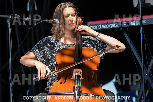 HOB_6138 copy