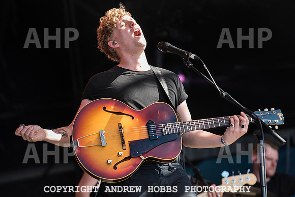 HOB_6201 copy