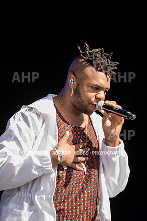 HOB_6233 copy